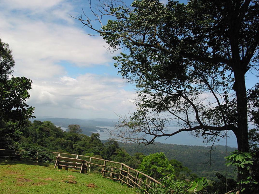Uitzicht vanaf de voet van de Brownsberg