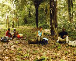 Pingpe rusten tijdens boswandeling